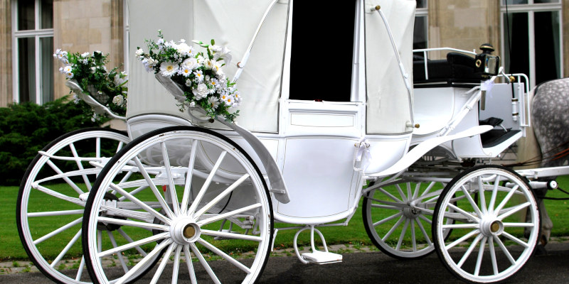 Four Wedding Rentals to Delight Guests